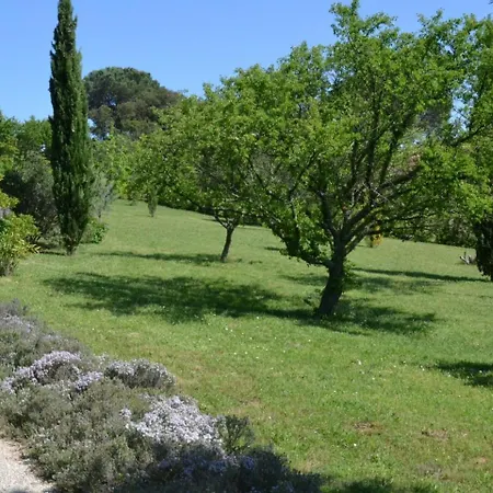 Relaxing Retreat Near Minerve *